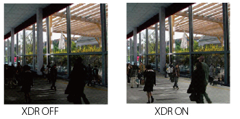 XDR（拡張ダイナミックレンジ）機能搭載